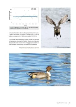 Atlas Des Oiseaux Migrateurs Et Hivernants D'Aquitaine: Dordogne, Gironde, Landes, Lot-et-Garonne, Pyrénéés-Atlantiques [Atlas Of Migratory And Wintering Birds Of Aquitaine] -Wildlife Professional Books 250288 08