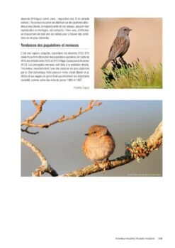 Atlas Des Oiseaux Migrateurs Et Hivernants D'Aquitaine: Dordogne, Gironde, Landes, Lot-et-Garonne, Pyrénéés-Atlantiques [Atlas Of Migratory And Wintering Birds Of Aquitaine] -Wildlife Professional Books 250288 14