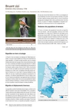 Atlas Des Oiseaux Migrateurs Et Hivernants D'Aquitaine: Dordogne, Gironde, Landes, Lot-et-Garonne, Pyrénéés-Atlantiques [Atlas Of Migratory And Wintering Birds Of Aquitaine] -Wildlife Professional Books 250288 15