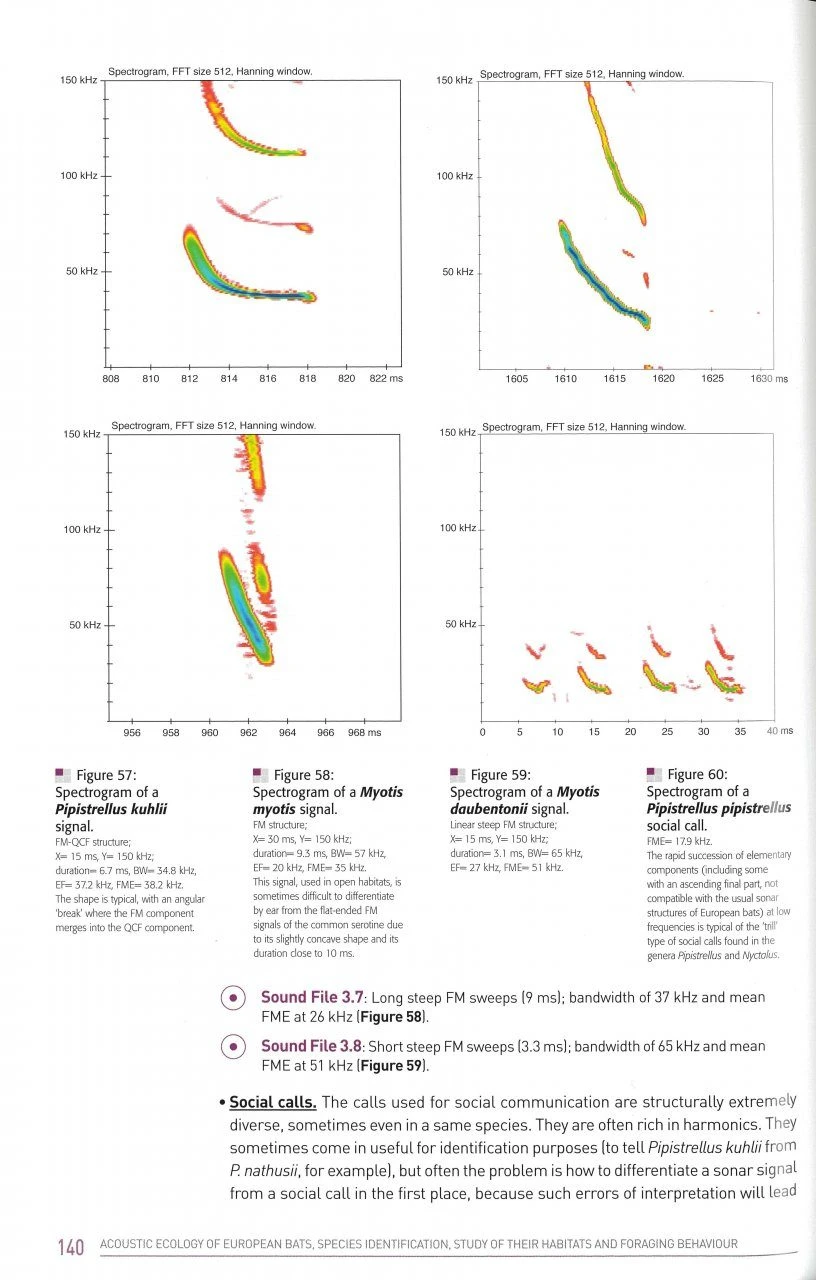 Acoustic Ecology Of European Bats 4 Acoustic Ecology Of European Bats - Image 2