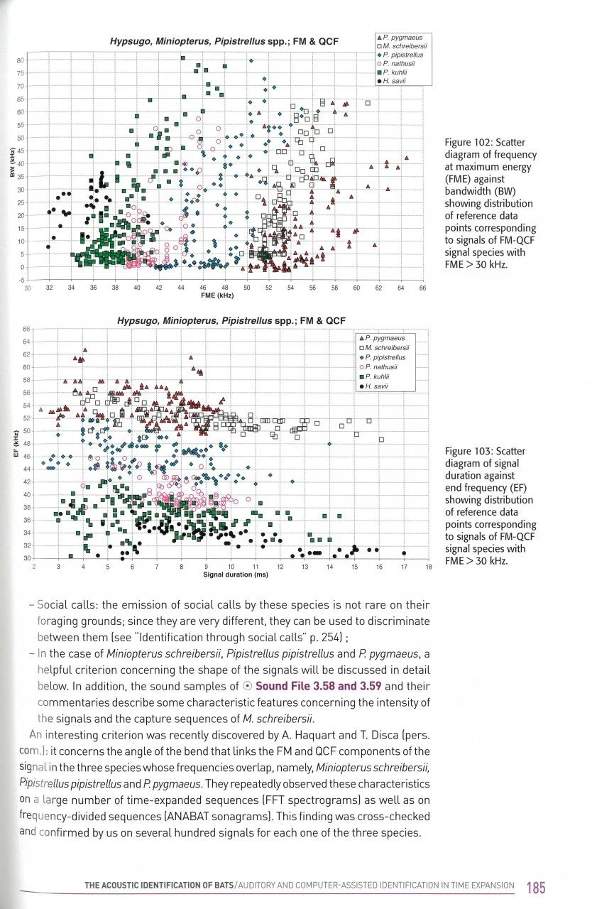 Acoustic Ecology Of European Bats 5 Acoustic Ecology Of European Bats - Image 3