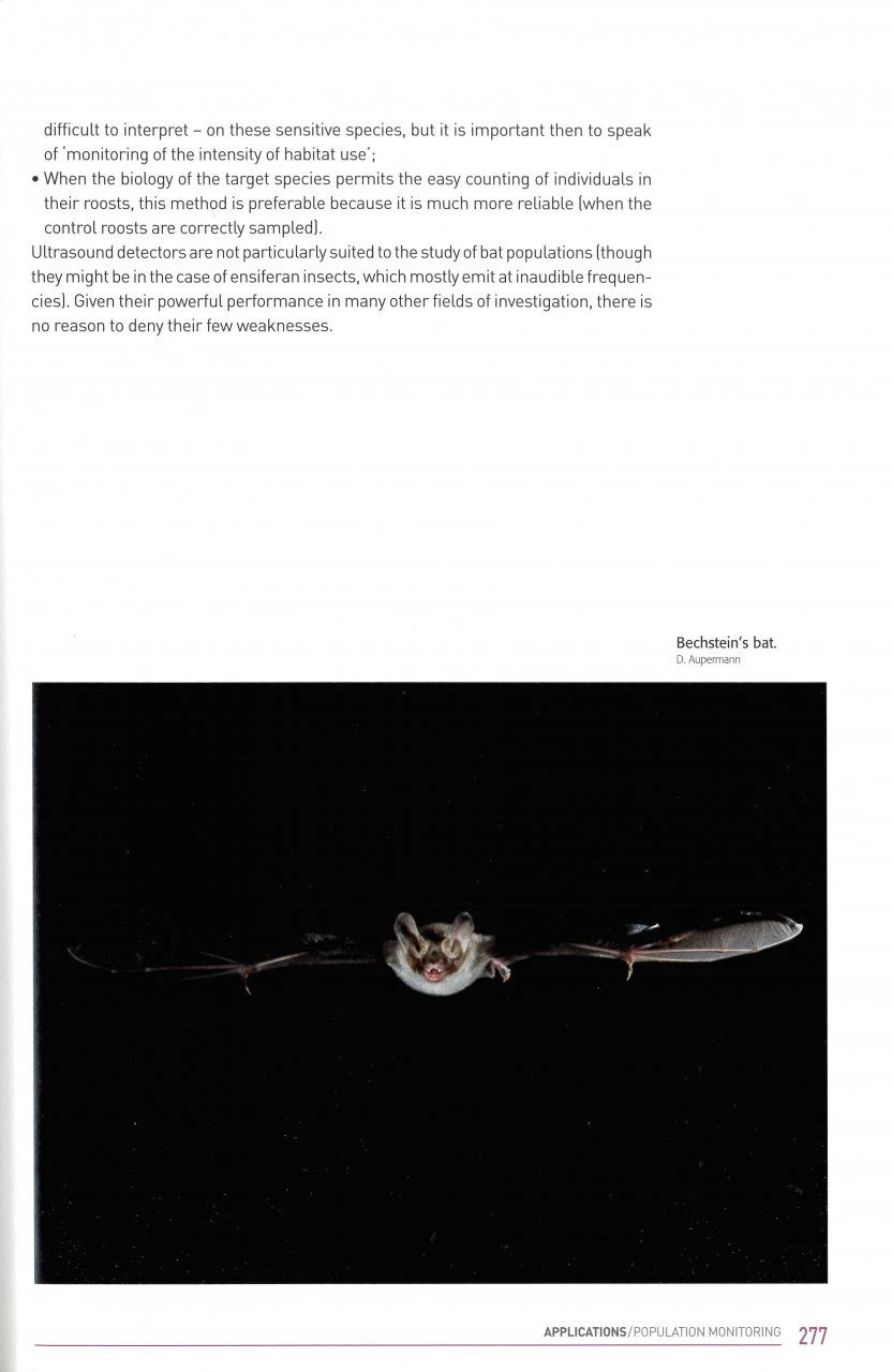 Acoustic Ecology Of European Bats 6 Acoustic Ecology Of European Bats - Image 4