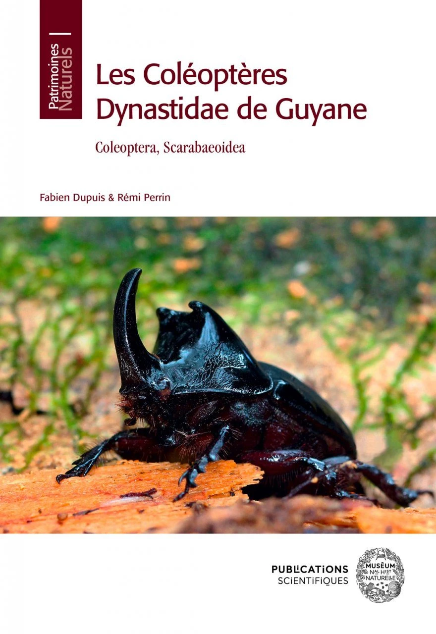 Les Coléoptères Dynastidae De Guyane: Coleoptera, Scarabaeoidea [The Dynastidae Beetles Of Guyana]