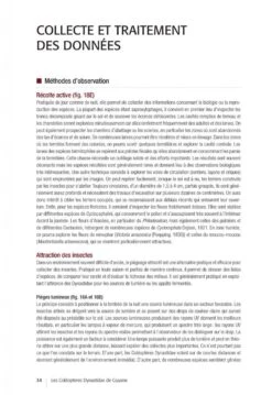 Les Coléoptères Dynastidae De Guyane: Coleoptera, Scarabaeoidea [The Dynastidae Beetles Of Guyana] -Wildlife Professional Books 250654 07