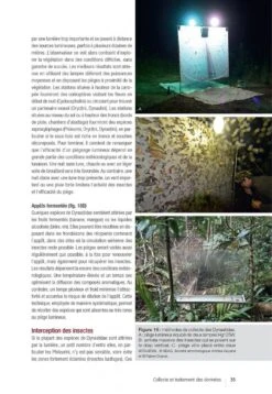 Les Coléoptères Dynastidae De Guyane: Coleoptera, Scarabaeoidea [The Dynastidae Beetles Of Guyana] -Wildlife Professional Books 250654 08