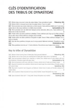 Les Coléoptères Dynastidae De Guyane: Coleoptera, Scarabaeoidea [The Dynastidae Beetles Of Guyana] -Wildlife Professional Books 250654 12