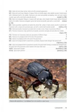 Les Coléoptères Dynastidae De Guyane: Coleoptera, Scarabaeoidea [The Dynastidae Beetles Of Guyana] -Wildlife Professional Books 250654 14