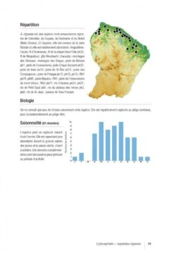 Les Coléoptères Dynastidae De Guyane: Coleoptera, Scarabaeoidea [The Dynastidae Beetles Of Guyana] -Wildlife Professional Books 250654 16