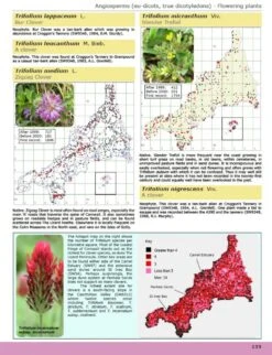 A Flora Of Cornwall 8 A Flora Of Cornwall -Wildlife Professional Books 250660 2