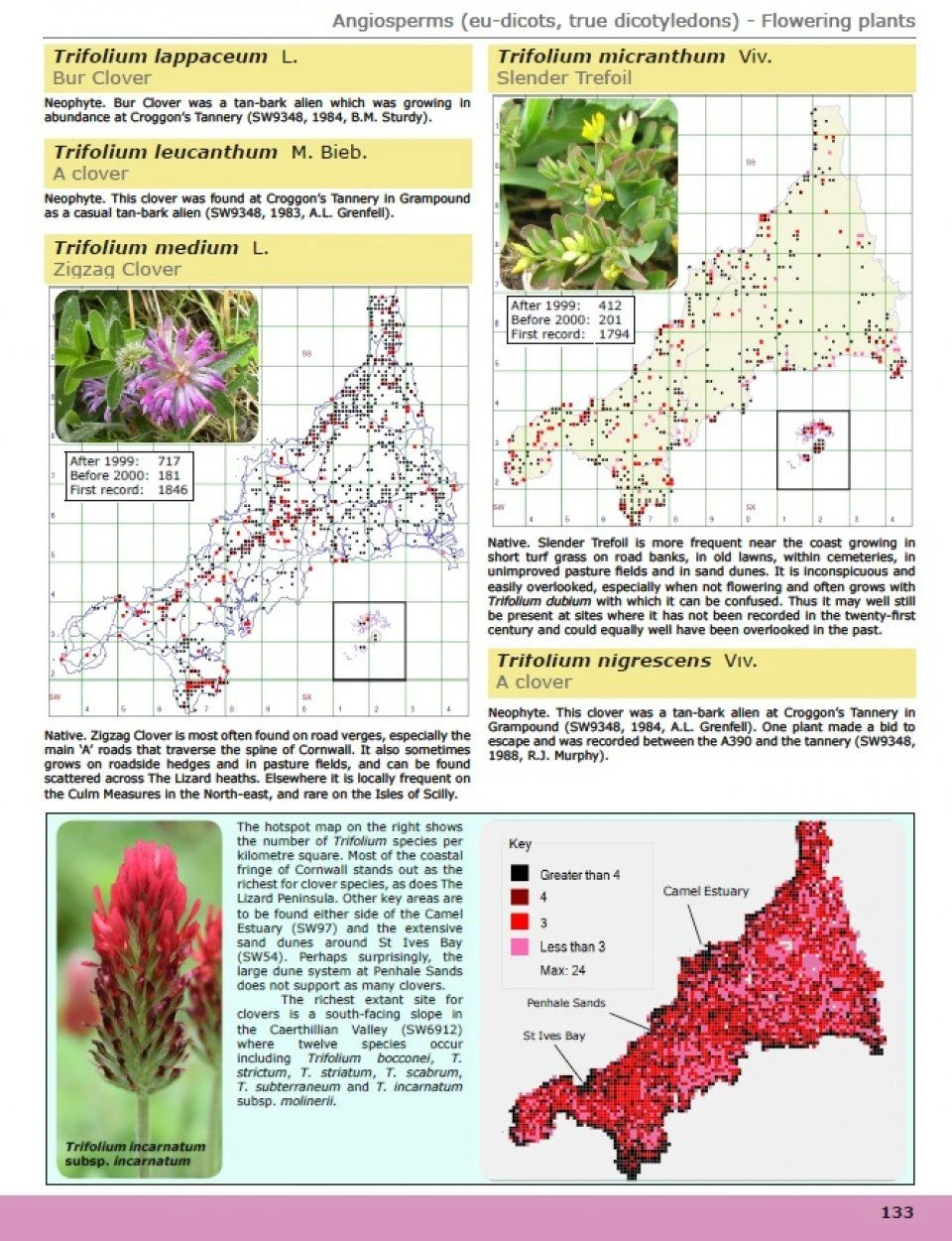 A Flora Of Cornwall 5 A Flora Of Cornwall - Image 3