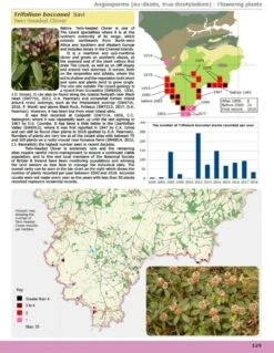 A Flora Of Cornwall 9 A Flora Of Cornwall -Wildlife Professional Books 250660 3