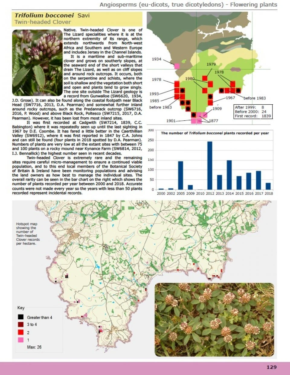 A Flora Of Cornwall 6 A Flora Of Cornwall - Image 4
