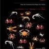 Tropical Deep-Sea Benthos, Volume 31 -Wildlife Professional Books 250704