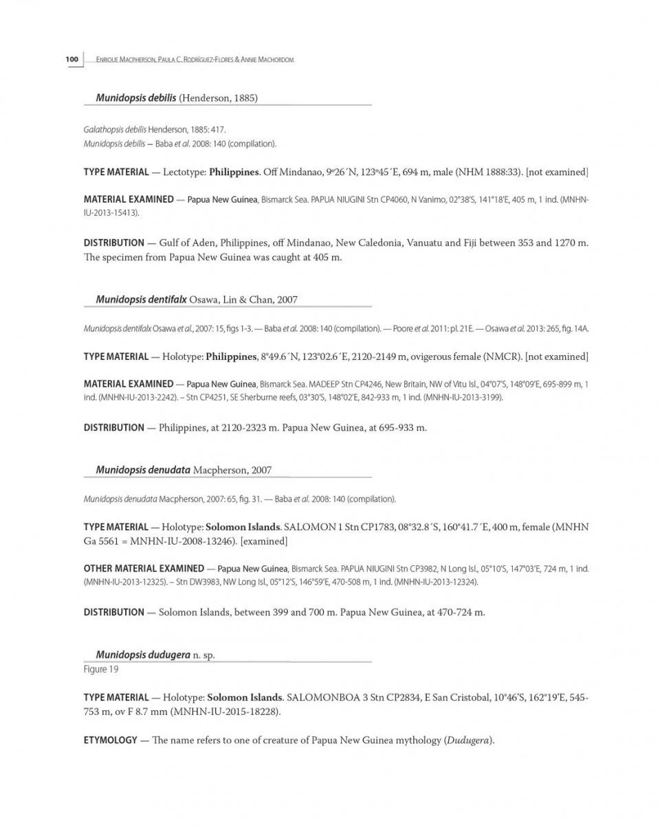 Tropical Deep-Sea Benthos, Volume 31 4 Tropical Deep-Sea Benthos, Volume 31 - Image 2