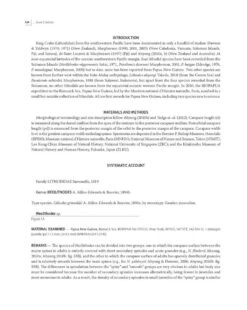 Tropical Deep-Sea Benthos, Volume 31 22 Tropical Deep-Sea Benthos, Volume 31 -Wildlife Professional Books 250704 03