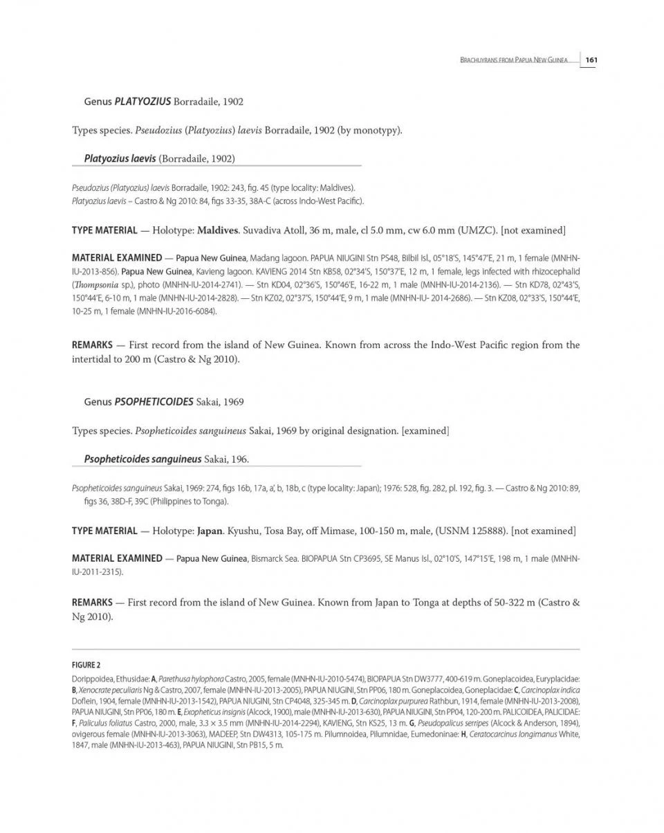 Tropical Deep-Sea Benthos, Volume 31 9 Tropical Deep-Sea Benthos, Volume 31 - Image 7