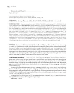 Tropical Deep-Sea Benthos, Volume 31 30 Tropical Deep-Sea Benthos, Volume 31 -Wildlife Professional Books 250704 11