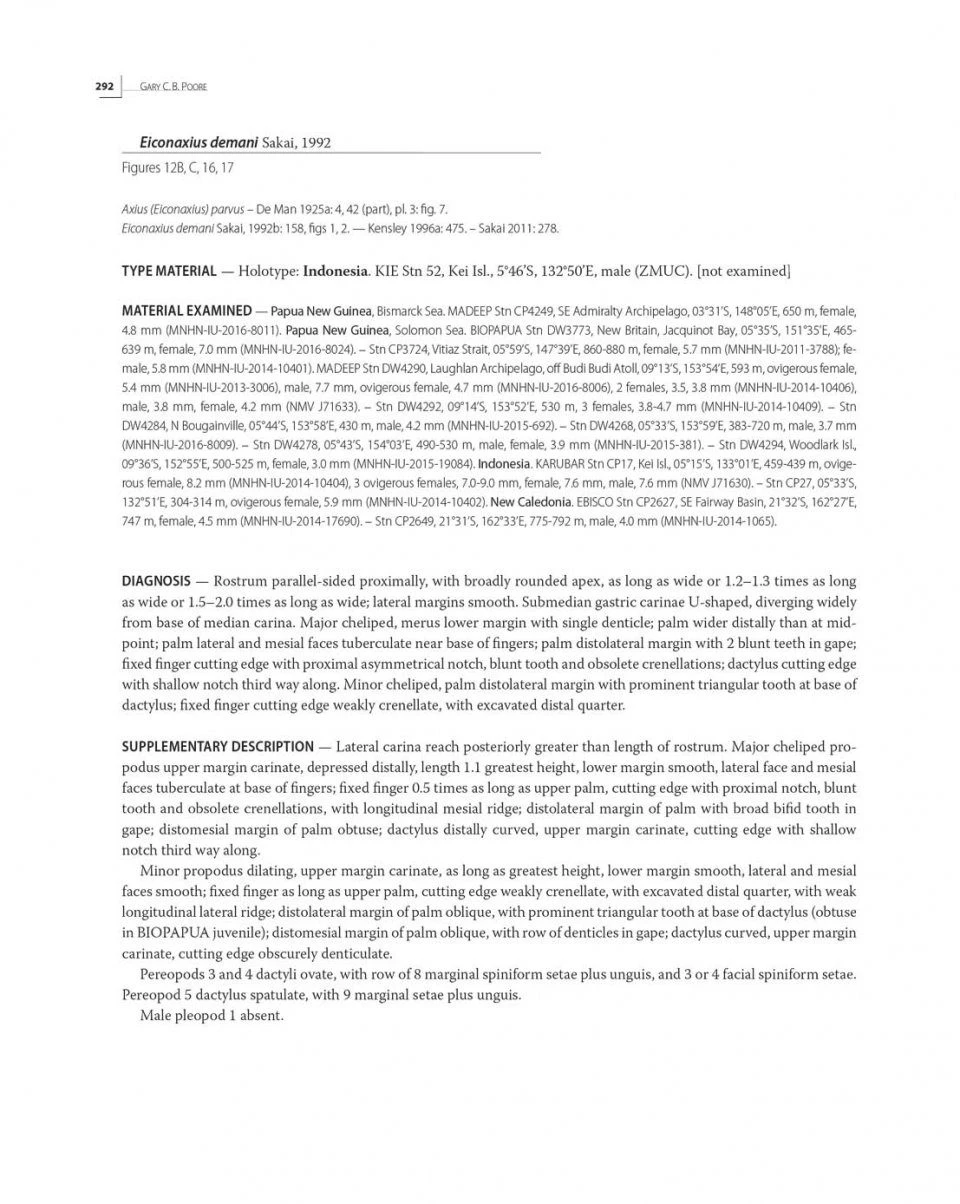 Tropical Deep-Sea Benthos, Volume 31 14 Tropical Deep-Sea Benthos, Volume 31 - Image 12