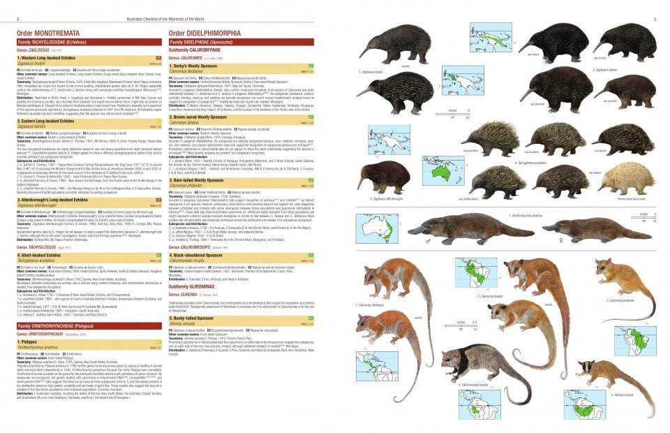 Illustrated Checklist Of The Mammals Of The World (2-Volume Set) 4 Illustrated Checklist Of The Mammals Of The World (2-Volume Set) - Image 2