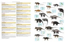 Illustrated Checklist Of The Mammals Of The World (2-Volume Set) 22 Illustrated Checklist Of The Mammals Of The World (2-Volume Set) -Wildlife Professional Books 250732 02