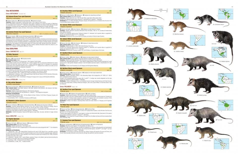 Illustrated Checklist Of The Mammals Of The World (2-Volume Set) 5 Illustrated Checklist Of The Mammals Of The World (2-Volume Set) - Image 3