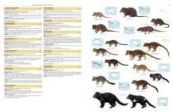 Illustrated Checklist Of The Mammals Of The World (2-Volume Set) 24 Illustrated Checklist Of The Mammals Of The World (2-Volume Set) -Wildlife Professional Books 250732 04
