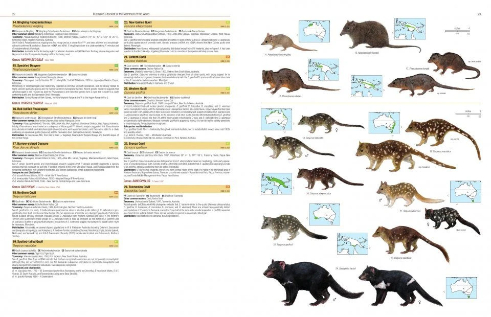Illustrated Checklist Of The Mammals Of The World (2-Volume Set) 7 Illustrated Checklist Of The Mammals Of The World (2-Volume Set) - Image 5