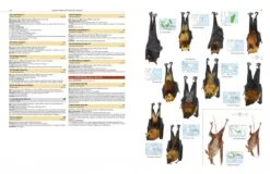 Illustrated Checklist Of The Mammals Of The World (2-Volume Set) 25 Illustrated Checklist Of The Mammals Of The World (2-Volume Set) -Wildlife Professional Books 250732 05