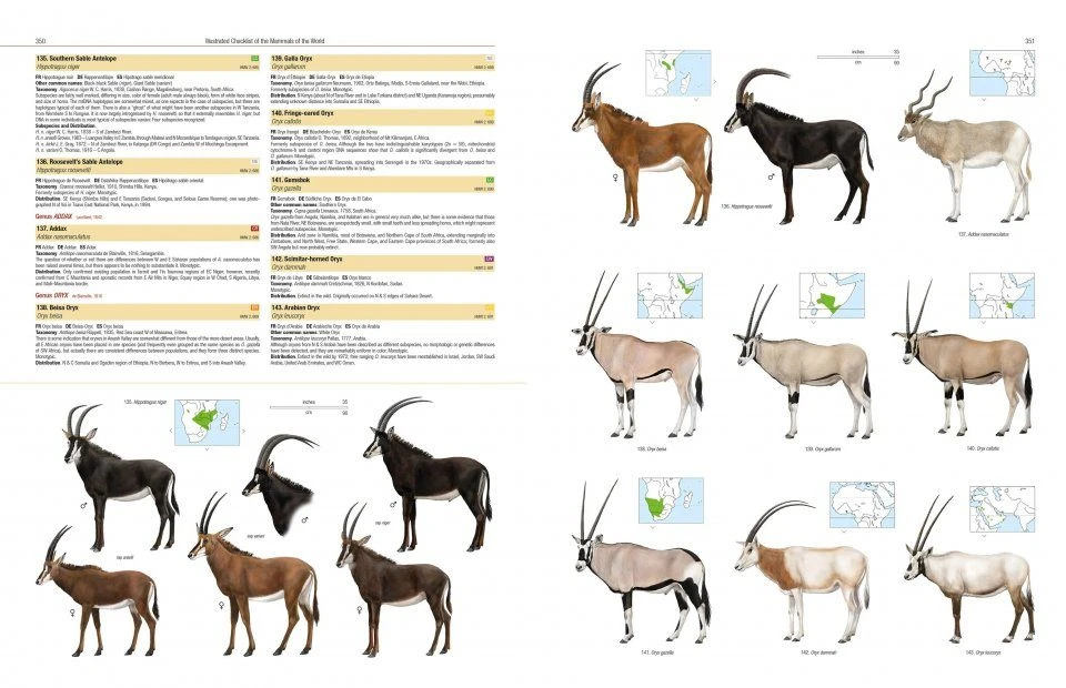 Illustrated Checklist Of The Mammals Of The World (2-Volume Set) 15 Illustrated Checklist Of The Mammals Of The World (2-Volume Set) - Image 13