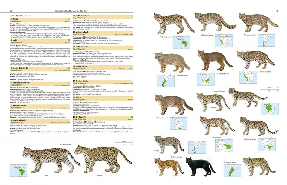 Illustrated Checklist Of The Mammals Of The World (2-Volume Set) 16 Illustrated Checklist Of The Mammals Of The World (2-Volume Set) - Image 14