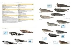 Illustrated Checklist Of The Mammals Of The World (2-Volume Set) 34 Illustrated Checklist Of The Mammals Of The World (2-Volume Set) -Wildlife Professional Books 250732 14