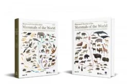 Illustrated Checklist Of The Mammals Of The World (2-Volume Set) 37 Illustrated Checklist Of The Mammals Of The World (2-Volume Set) -Wildlife Professional Books 250732 17
