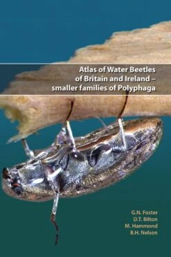 Atlas Of Water Beetles Of Britain And Ireland – Smaller Families Of Polyphaga