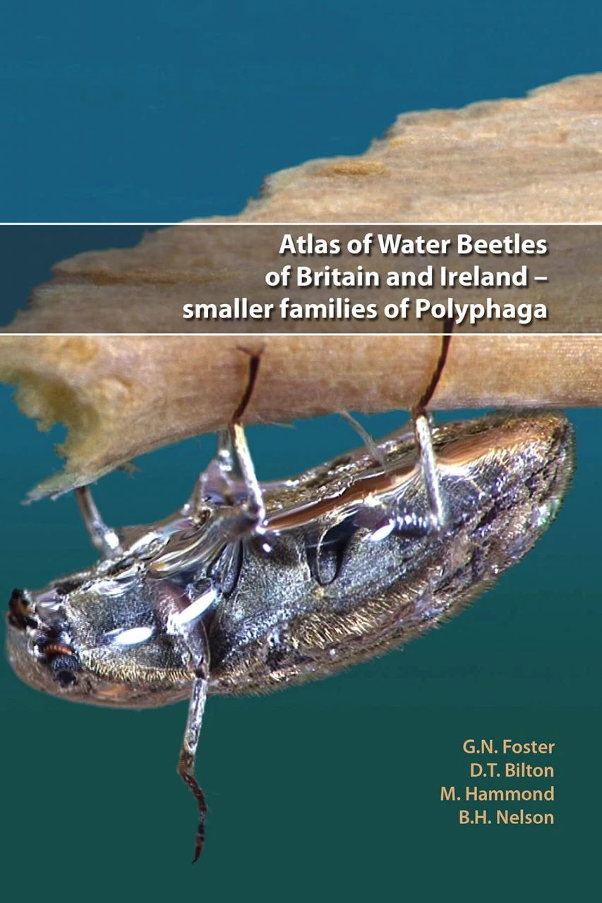 Atlas Of Water Beetles Of Britain And Ireland – Smaller Families Of Polyphaga 3 Atlas Of Water Beetles Of Britain And Ireland – Smaller Families Of Polyphaga