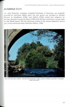 Atlas Of Water Beetles Of Britain And Ireland – Smaller Families Of Polyphaga 9 Atlas Of Water Beetles Of Britain And Ireland – Smaller Families Of Polyphaga -Wildlife Professional Books 250830 3