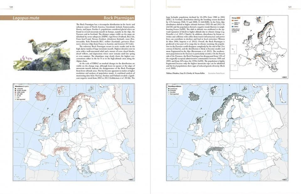 European Breeding Bird Atlas 2 3 European Breeding Bird Atlas 2 - Image 2