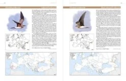 European Breeding Bird Atlas 2 11 European Breeding Bird Atlas 2 -Wildlife Professional Books 250838 2