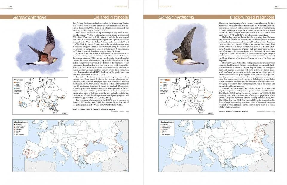 European Breeding Bird Atlas 2 4 European Breeding Bird Atlas 2 - Image 3