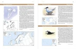 European Breeding Bird Atlas 2 12 European Breeding Bird Atlas 2 -Wildlife Professional Books 250838 3