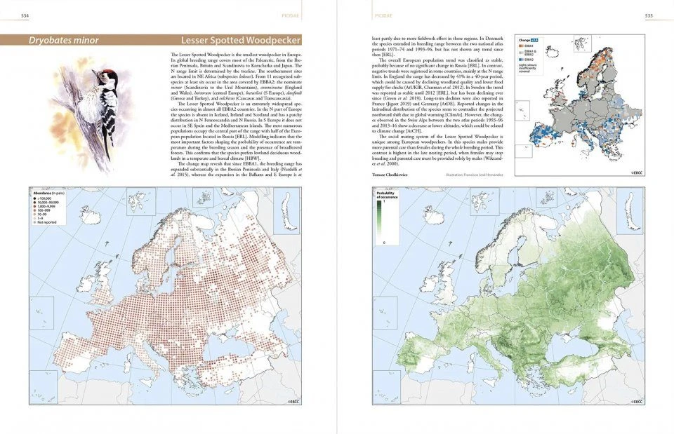 European Breeding Bird Atlas 2 6 European Breeding Bird Atlas 2 - Image 5