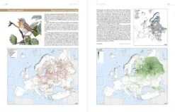 European Breeding Bird Atlas 2 14 European Breeding Bird Atlas 2 -Wildlife Professional Books 250838 5