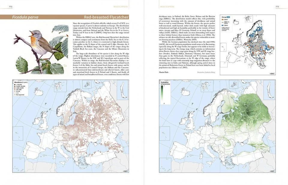 European Breeding Bird Atlas 2 7 European Breeding Bird Atlas 2 - Image 6