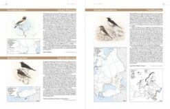 European Breeding Bird Atlas 2 15 European Breeding Bird Atlas 2 -Wildlife Professional Books 250838 6