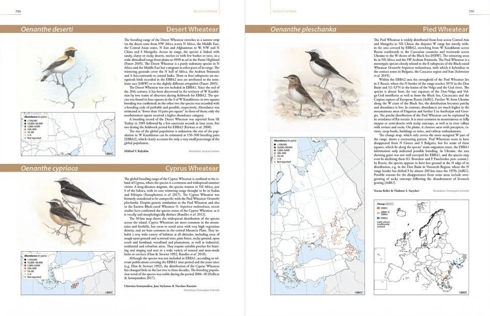 European Breeding Bird Atlas 2 8 European Breeding Bird Atlas 2 - Image 7