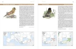 European Breeding Bird Atlas 2 16 European Breeding Bird Atlas 2 -Wildlife Professional Books 250838 7