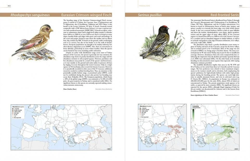European Breeding Bird Atlas 2 9 European Breeding Bird Atlas 2 - Image 8