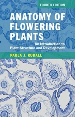 Anatomy Of Flowering Plants