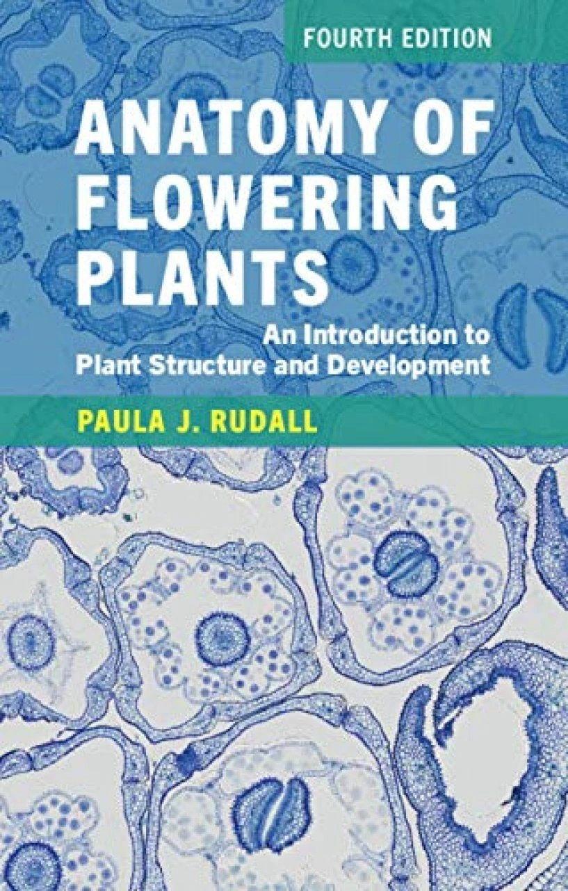 Anatomy Of Flowering Plants 3 Anatomy Of Flowering Plants