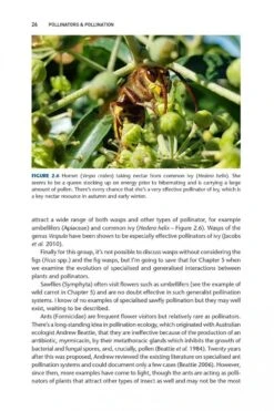 Pollinators & Pollination 15 Pollinators & Pollination -Wildlife Professional Books 251217 02