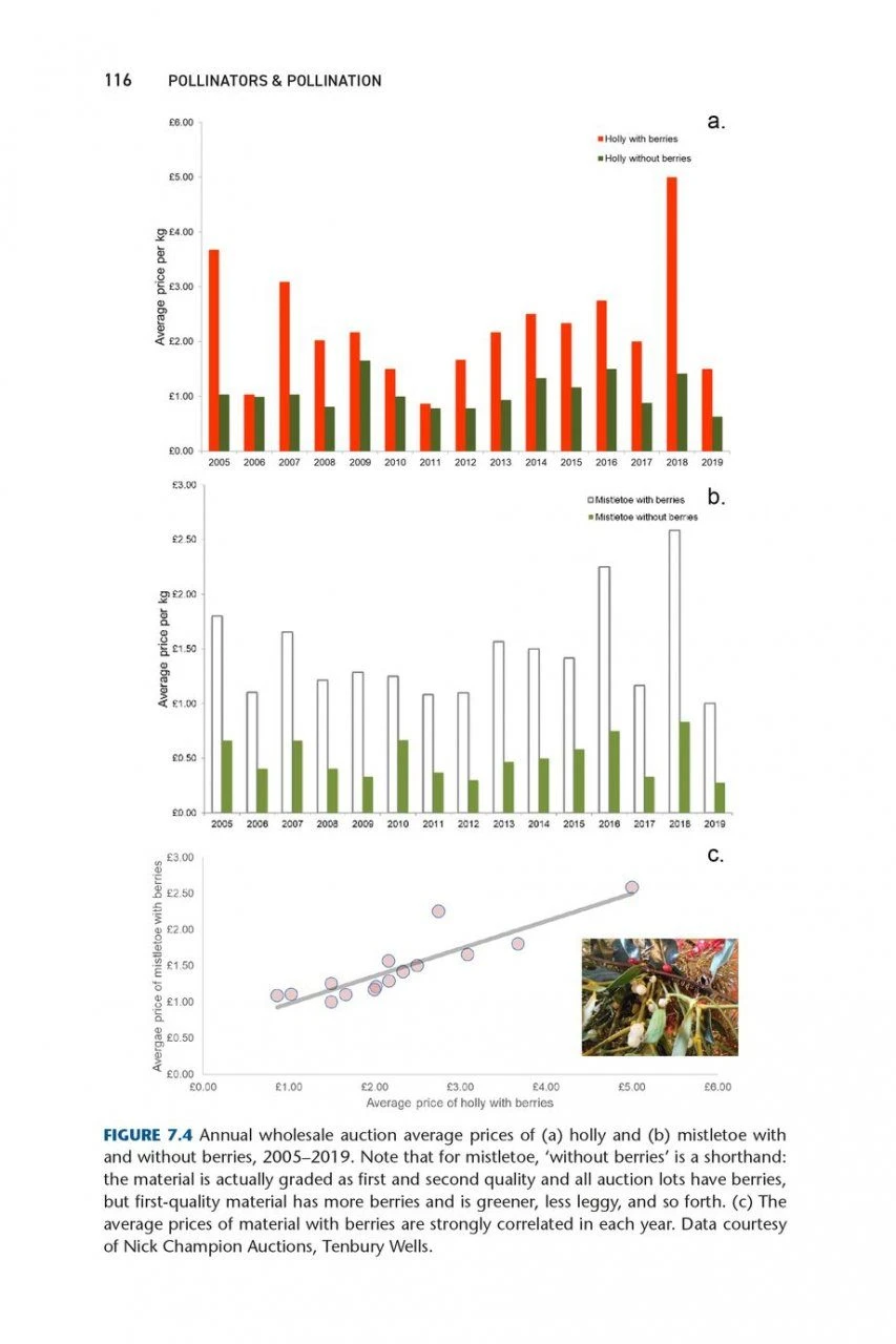 Pollinators & Pollination 8 Pollinators & Pollination - Image 6